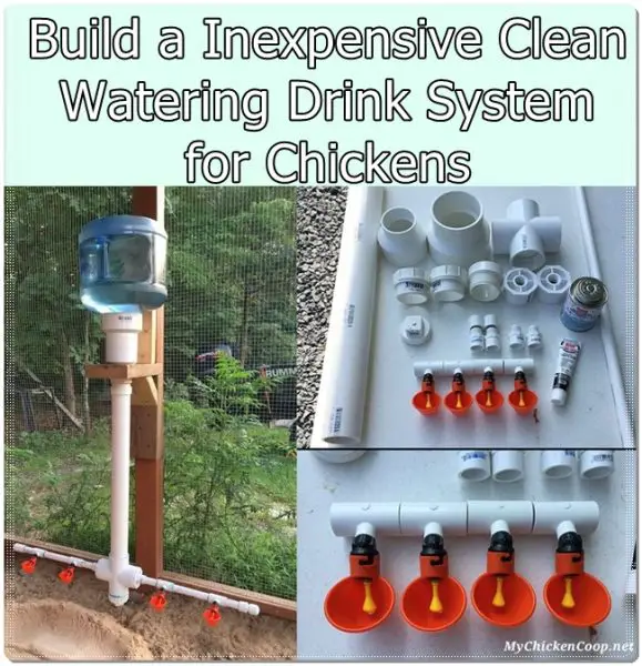 Build a Inexpensive Clean Watering Drink System for Chickens