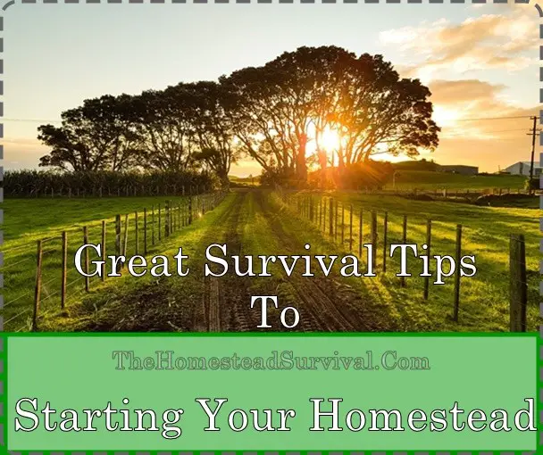 Great Survival Tips To Starting Your Homestead