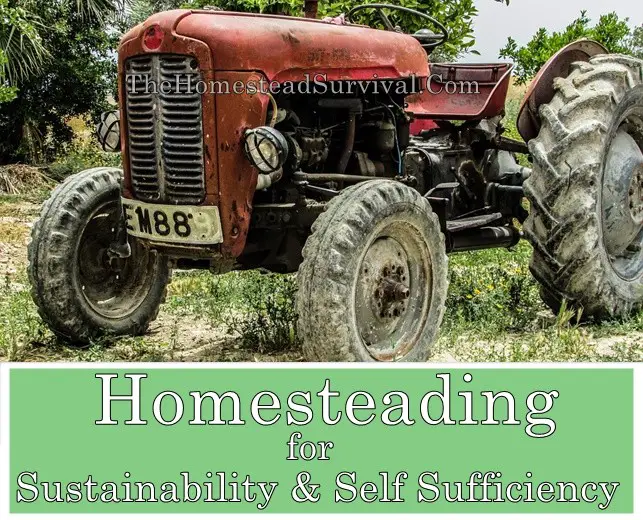 Homesteading for Sustainability and Self Sufficiency