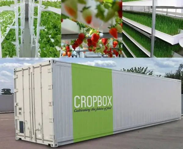 How to Grow 2800 Plants Inside a Shipping Container