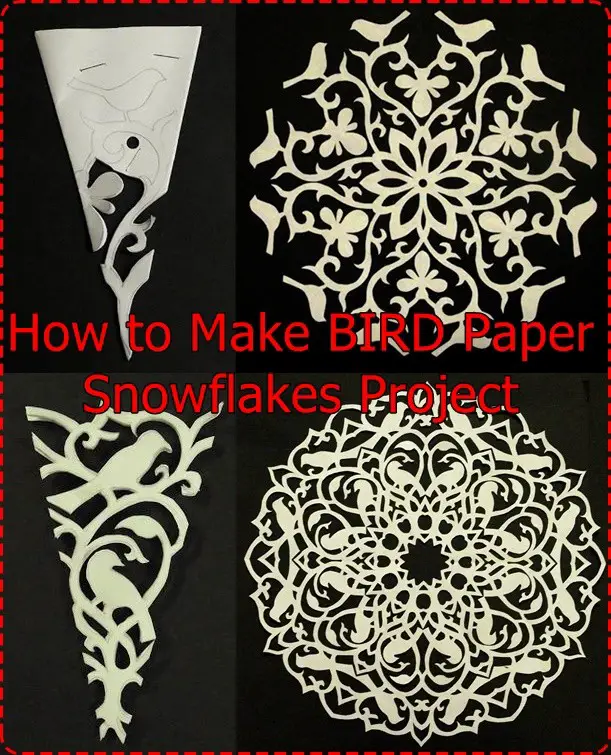 How to Make BIRD Paper Snowflakes Project