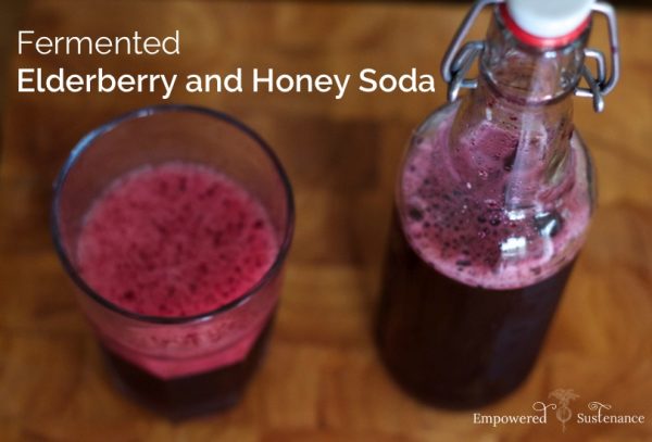 Recipe for Making Fermented Elderberry and Honey Soda