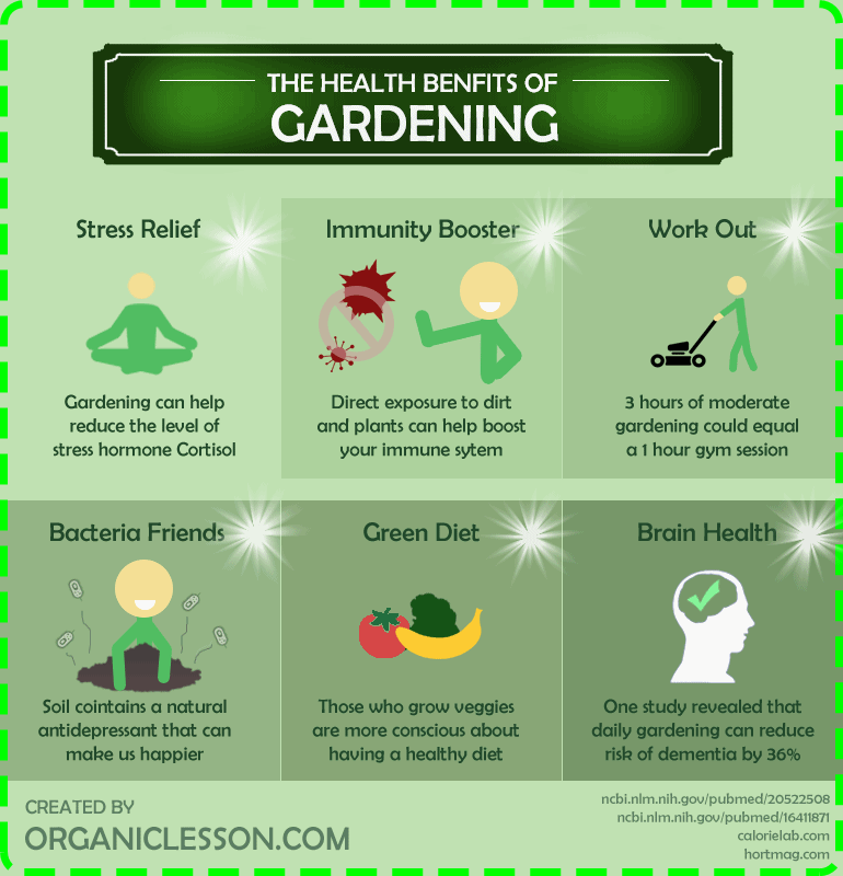 Amazing Comprehensive Guide for Homestead Gardening
