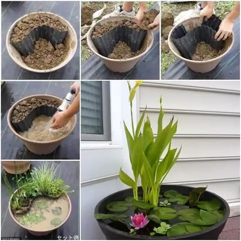 Build a Mini Water Garden in a Large Gardening Pot Project
