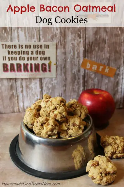 Apple Bacon Oatmeal Dog Treat Cookies Recipe