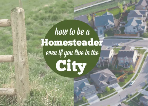 Bring Homesteading To Your City Life