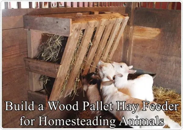 Build a Wood Pallet Hay Feeder for Homesteading Animals