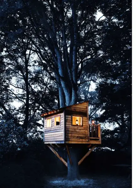 Building Your Play house in a tree