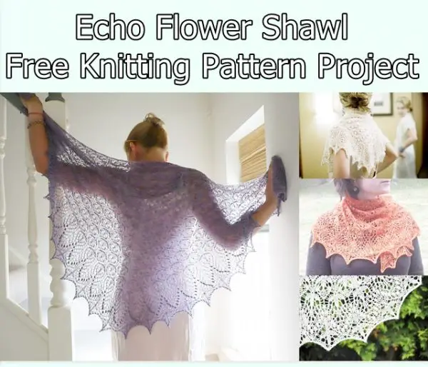 Echo Flower Shawl Free Knitting Pattern Project