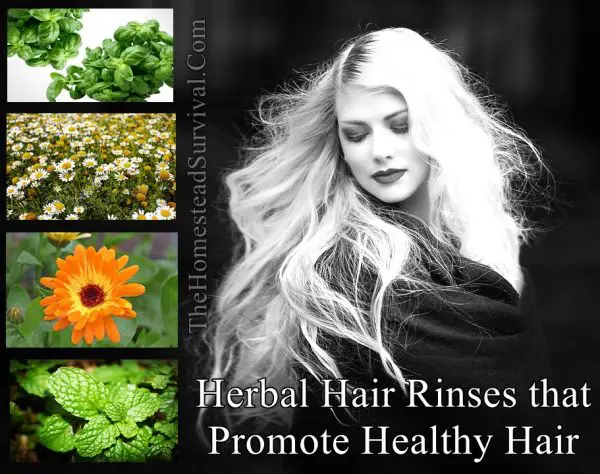 Herbal Hair Rinses that Promote Healthy Hair
