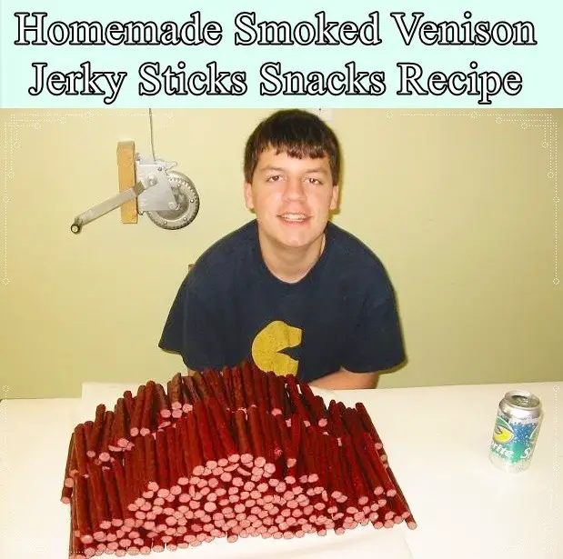Homemade Smoked Venison Jerky Sticks Snacks Recipe