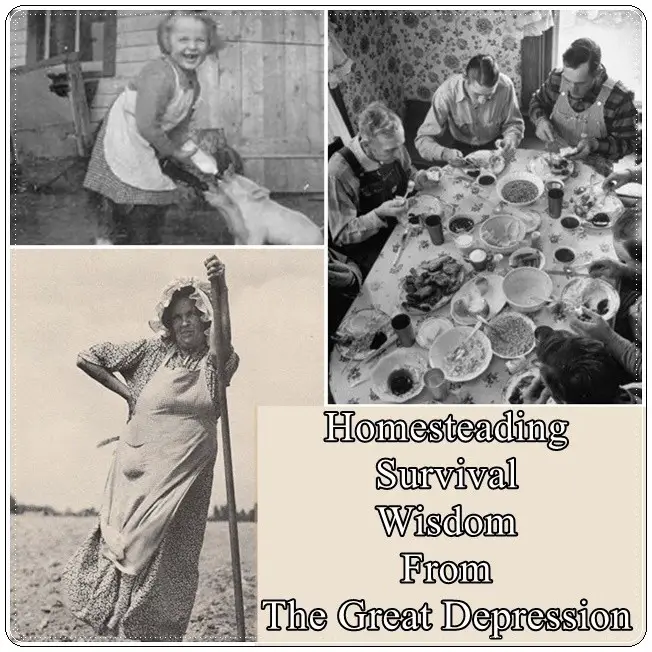 Homesteading Survival Wisdom From The Great Depression