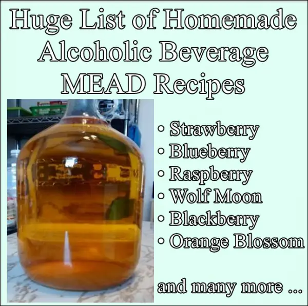 Huge List of Homemade Alcoholic Beverage MEAD Recipes