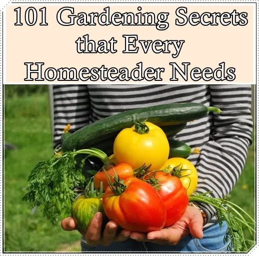 101 Gardening Secrets that Every Homesteader Needs 
