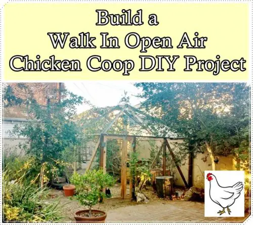 Build a Walk In Open Air Chicken Coop DIY Project