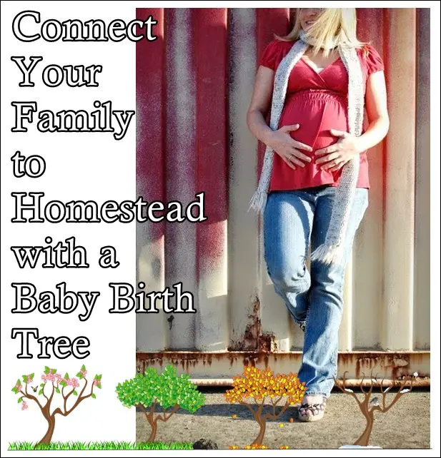 Connect Your Family to Homestead with a Baby Birth Tree