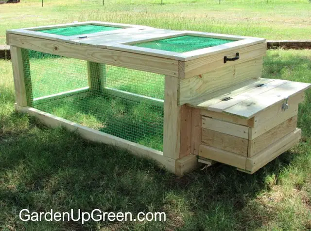 Homemade Quail and Chicken Coop DIY Project