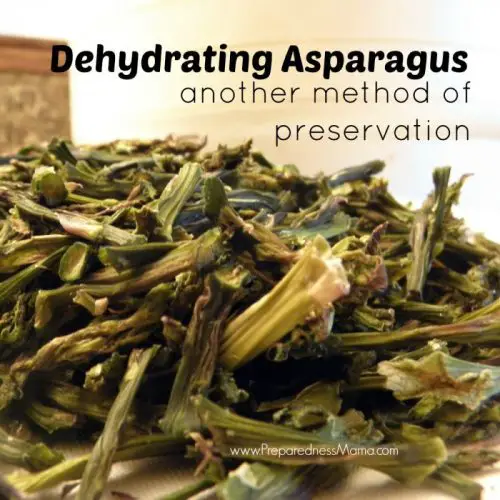 How To Dehydrate Asparagus