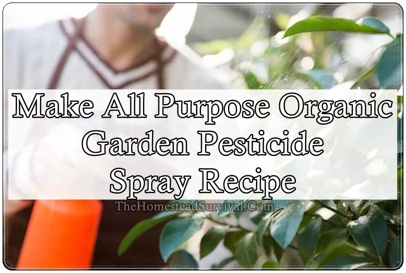 Make All Purpose Organic Garden Pesticide Spray Recipe