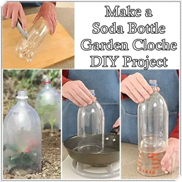 Make A Soda Bottle Garden Cloche Diy Project The Homestead Survival