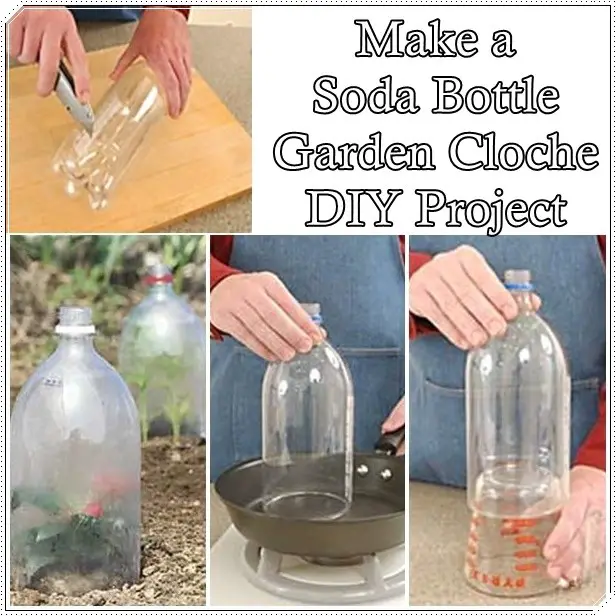 Make a Soda Bottle Garden Cloche DIY Project