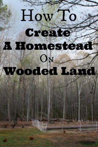 the-dos-and-donts-of-choosing-heavily-wooded-land-for-your-homestead