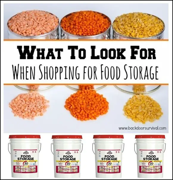 What to Look for When Buying Food Storage