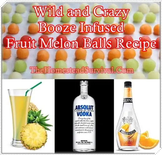 Wild and Crazy Booze Infused Fruit Melon Balls Recipe 