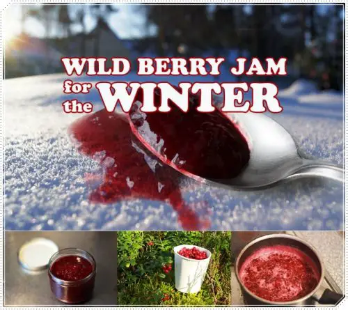 Canning Wild Berry Jam Recipe for the Winter
