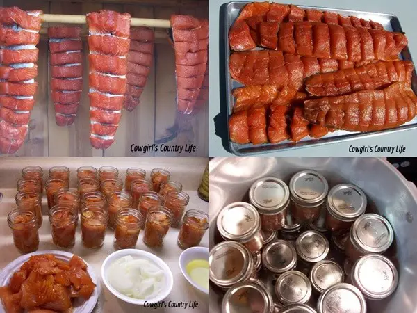 Cold Smoking and Canning Salmon for the Winter