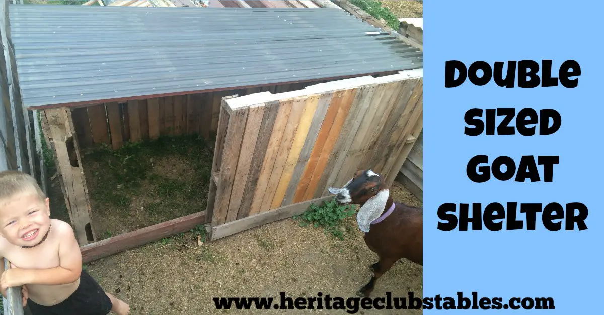DIY Goat Shelter From Pallets