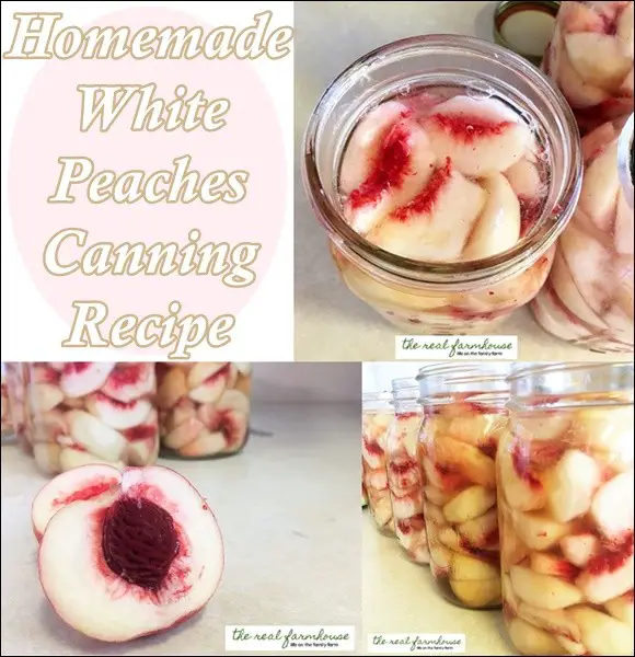 Homemade White Peaches Canning Recipe