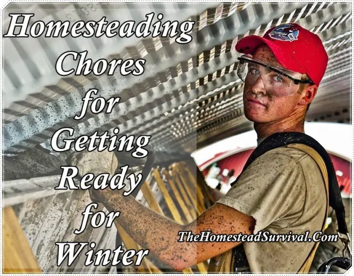 Homesteading Chores for Getting Ready for Winter