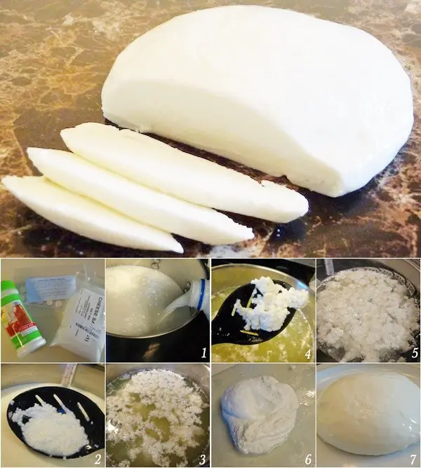 Mozzarella Cheese Made From A Gallon of Milk Recipe