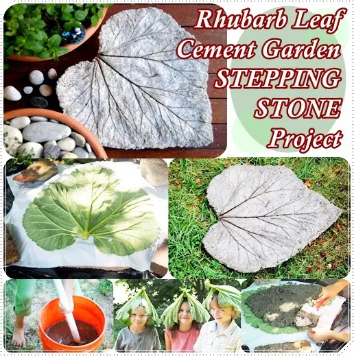 Rhubarb Leaf Cement Garden STEPPING STONE Project