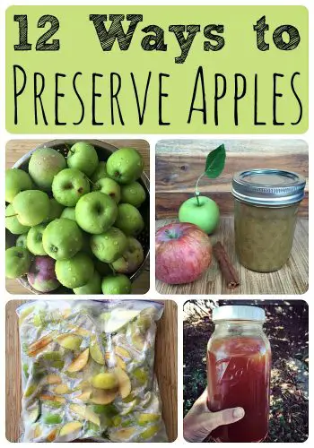 The Many Ways Of Preserving Apples