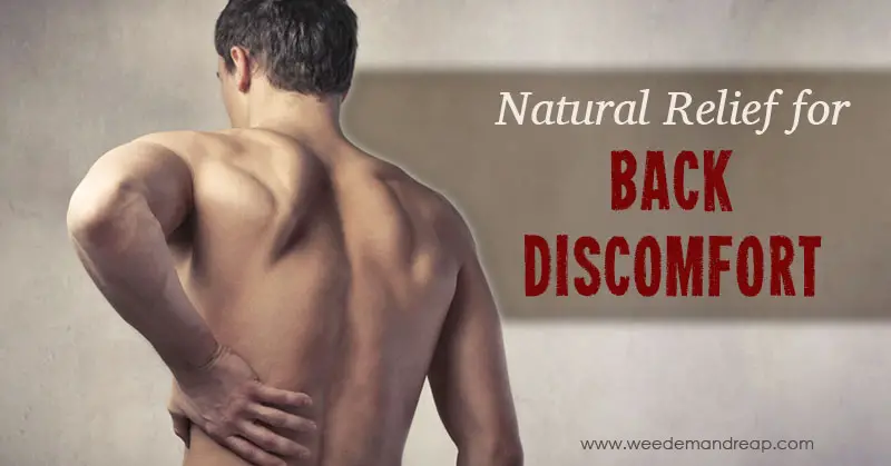 Natural Relief For Back Pain for Hard Working People