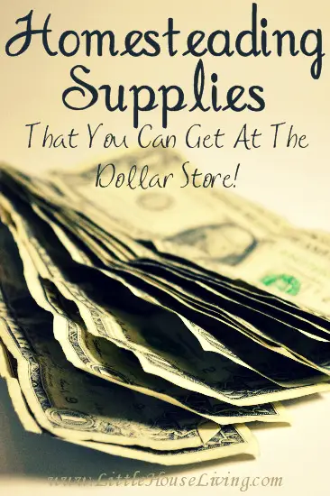 Things Homesteaders Can Buy Frugally At The Dollar Store