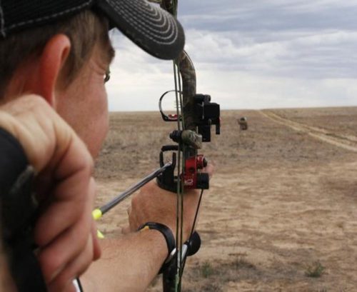Tips for Improving Long Distance Bow Shooting