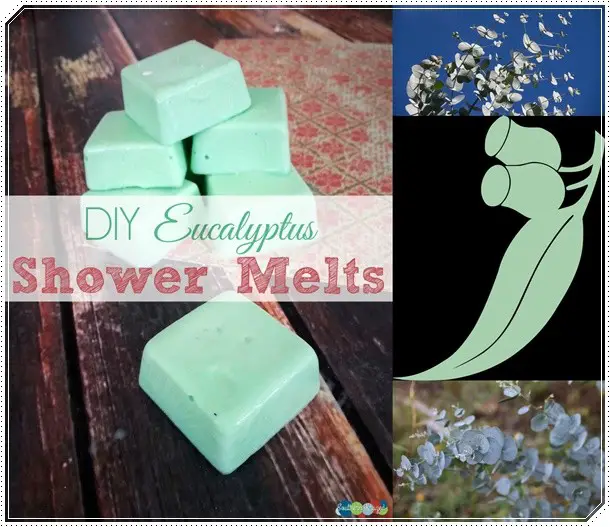 Eucalyptus Essential Oil Shower Melts to Clear Congestion