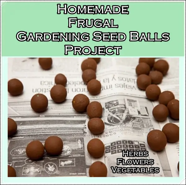Homemade Frugal Gardening Seed Balls Project