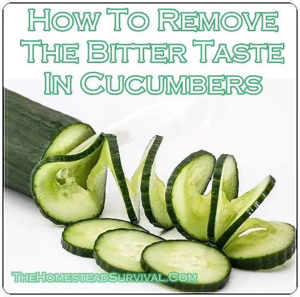 How To Remove The Bitter Taste In Cucumbers