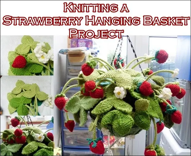 Knitting a Strawberry Hanging Basket Project