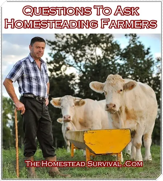 Questions To Ask A Homesteading Farmers