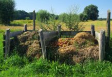 Compost Pile Mistakes To Avoid