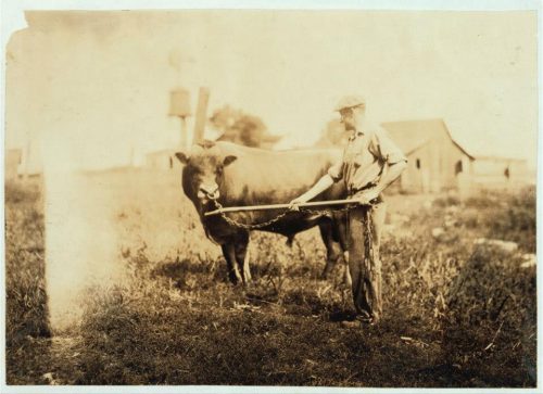 Homesteading History Photo Collection