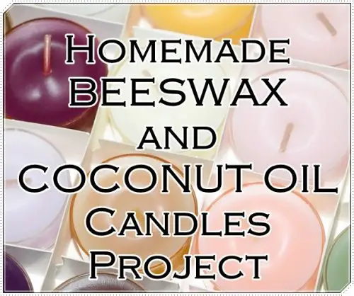 Homemade BEESWAX and COCONUT OIL Candles Project