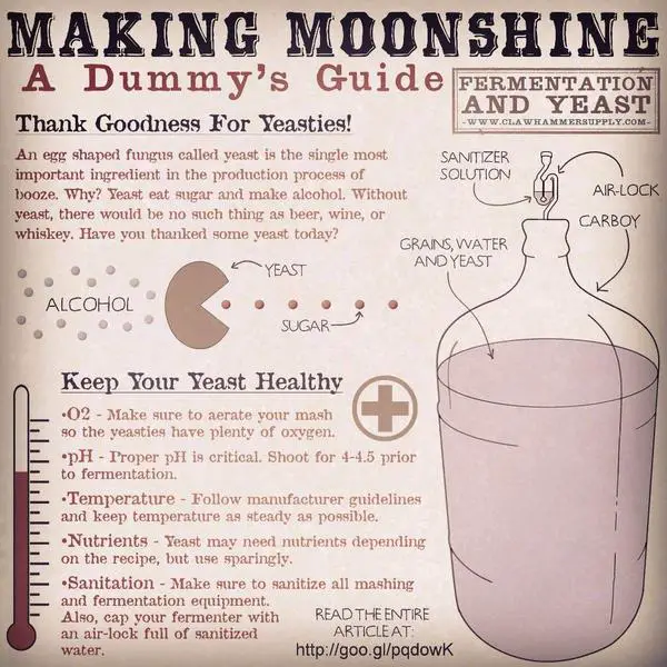 Making Moonshine Through Fermentation