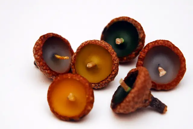 Make Floating Acorn Candles Craft Project