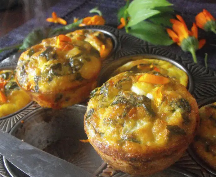 Delicious Greens and Herbs Breakfast Muffins